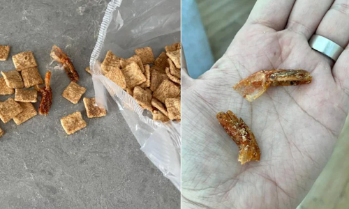 പ്രമുഖ കമ്പനിയുടെ ഭക്ഷണ പാക്കറ്റിൽ ചെമ്മീൻ വാൽ; പരാതിയുമായി ട്വിറ്ററിലെത്തിയപ്പോൾ സംഭവിച്ചത്​...!