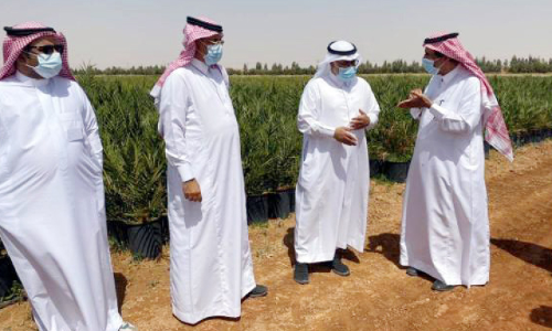 ഈ​ത്ത​പ്പ​ഴ കൃ​ഷി: മി​ക​ച്ച ഉ​ൽ​പാ​ദ​ന​ത്തി​ന് ശാ​സ്ത്രീ​യ പ​ദ്ധ​തി യാ​ഥാ​ർ​ഥ്യ​മാ​കു​ന്നു