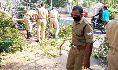 ദേ​ശീ​യ​പാ​ത​യി​ൽ മ​രം വീ​ണ് ഗ​താ​ഗ​ത​ത​ട​സ്സം
