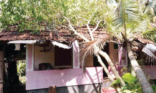 കാറ്റിലും മഴയിലും നാശം രണ്ട്​ വീടുകൾ നശിച്ചു അ​ഞ്ഞൂ​റോ​ളം വാ​ഴ​ക​ൾ ഒ​ടി​ഞ്ഞു​വീ​ണ​ു