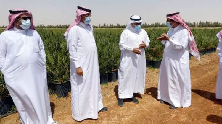 ഈ​ത്ത​പ്പ​ഴ കൃ​ഷി: മി​ക​ച്ച ഉ​ൽ​പാ​ദ​ന​ത്തി​ന് ശാ​സ്ത്രീ​യ പ​ദ്ധ​തി യാ​ഥാ​ർ​ഥ്യ​മാ​കു​ന്നു