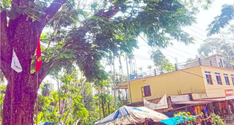 മ​ര​ക്കൊ​മ്പു​ക​ൾ വൈ​ദ്യു​തി ലൈ​നി​ന്​ ഭീ​ഷ​ണി; അ​ധി​കൃ​ത​ർ​ക്ക്​ മൗ​നം