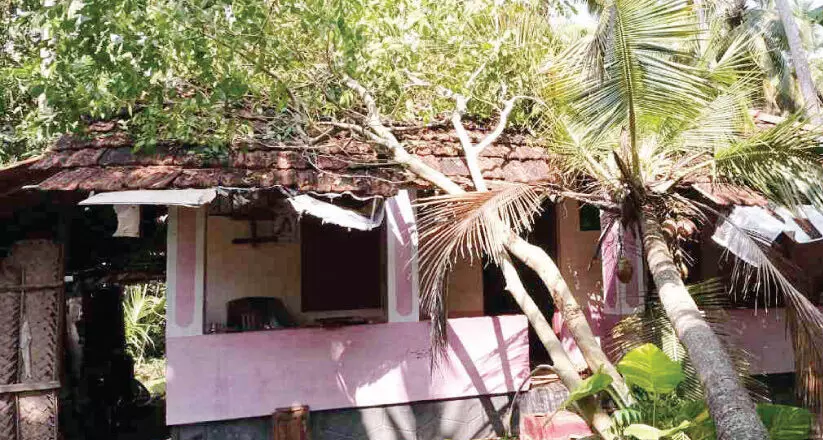 കാറ്റിലും മഴയിലും നാശം രണ്ട്​ വീടുകൾ നശിച്ചു അ​ഞ്ഞൂ​റോ​ളം വാ​ഴ​ക​ൾ ഒ​ടി​ഞ്ഞു​വീ​ണ​ു