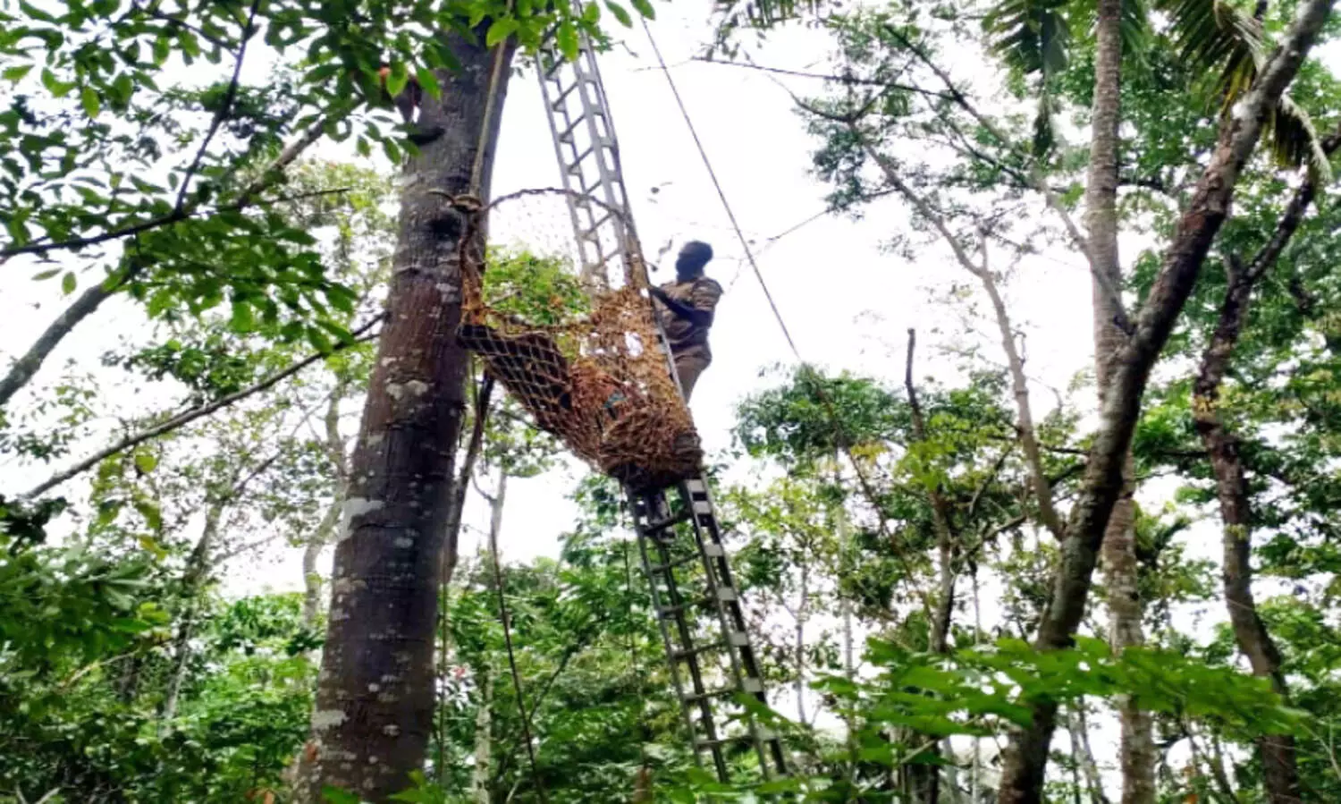 fire force rescue operation