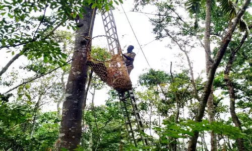 fire force rescue operation