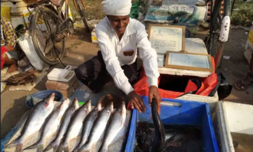 രാഷ്​ട്രപതി പുരസ്​കാര ജേതാവ്​ ജീവിക്കാൻ മീൻ വിൽക്കുന്നു
