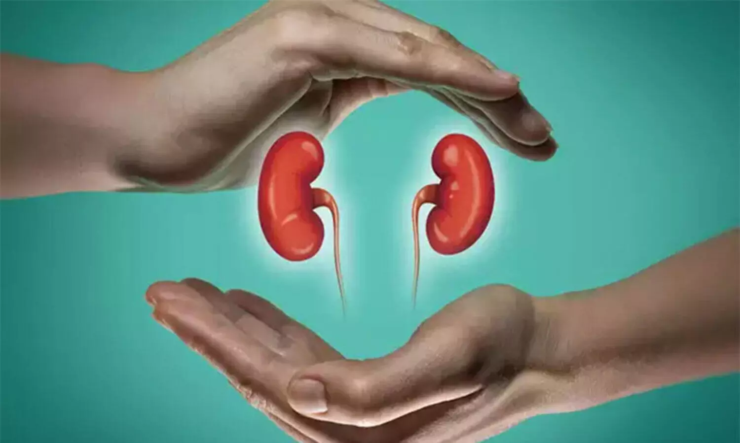 കരുതലാവാം വൃക്കക്ക്​