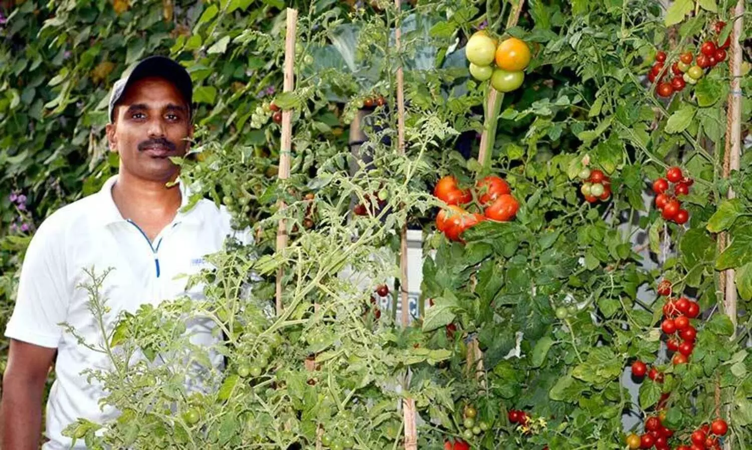 വീ​ട്ടു​മു​റ്റ​ത്ത്  നൂ​റു​മേ​നി കൊ​യ്ത് മു​നീ​ർ