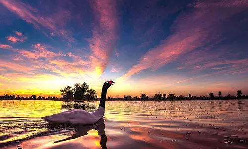 പൊളിയാണ് ഇൗ ഫോട്ടോഗ്രാഫർ പൊളിയാണ് ഇൗ ഫോട്ടോഗ്രാഫർ