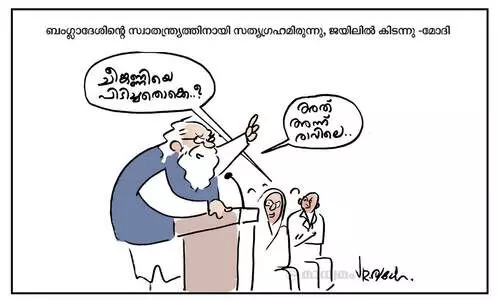 സ്വാതന്ത്ര്യസമര സേനാനി