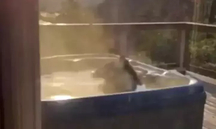 വീടിന് പിന്നിലെ ജാക്വസിയിൽ കുളിച്ച് കരടി; ഇന്റർനെറ്റിലെ വൈറൽ വിഡിയോ വീടിന് പിന്നിലെ ജാക്വസിയിൽ കുളിച്ച് കരടി; ഇന്റർനെറ്റിലെ വൈറൽ വിഡിയോ