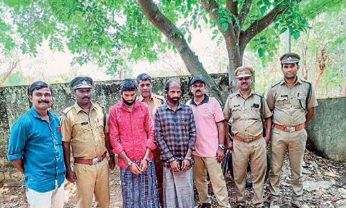 ച​ന്ദ​ന​മ​രം മു​റി​ച്ച് ക​ട​ത്ത​ൽ; ത​മി​ഴ്നാ​ട്സ്വ​ദേ​ശി​ക​ൾ അ​റ​സ്​​റ്റി​ൽ