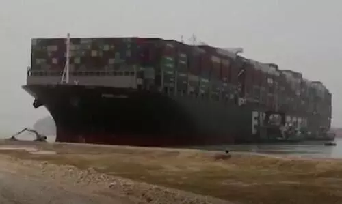 സൂയസ്​ കനാലിൽ കപ്പലുകളിൽ കുരുങ്ങി ആയിരക്കണക്കിന്​ കാലികളും; രക്ഷാ പ്രവർത്തനത്തിന്​ അതിവേഗം