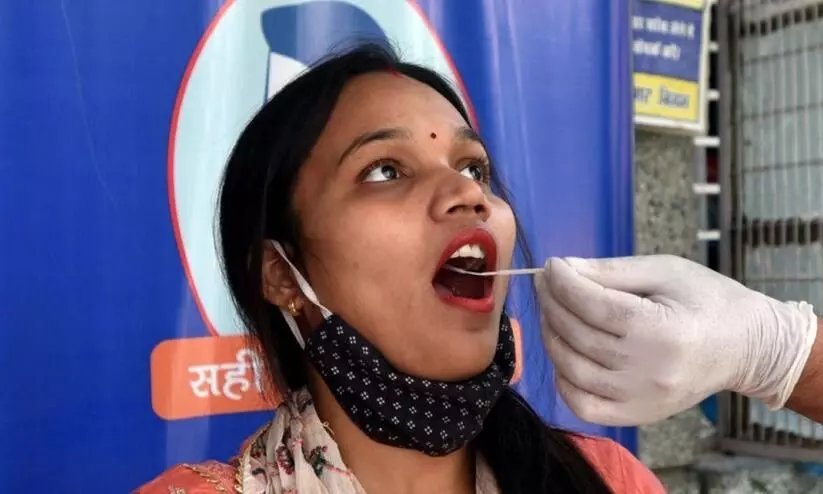 Swab Collection Swab Collection