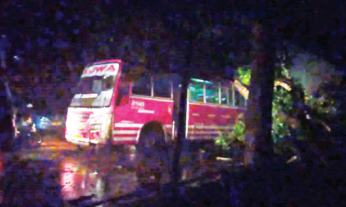 കടിയങ്ങാട് ബസിനു മുകളിൽ മരം വീണു