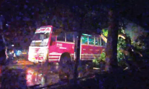 കടിയങ്ങാട് ബസിനു മുകളിൽ മരം വീണു