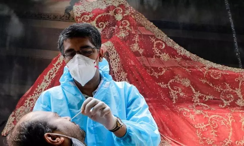 Swab Collection Swab Collection