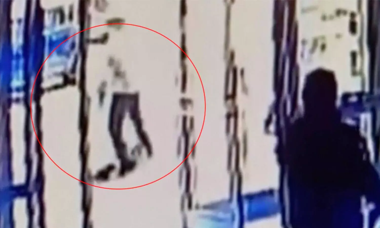 അമേരിക്കയിൽ ഏഷ്യൻ വയോധികക്ക്​ ക്രൂര മർദനം; ഇടപെടാതെ കാഴ്ചക്കാർ -VIDEO