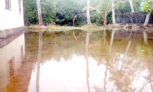 അസാധാരണ വേലിയേറ്റം അരൂർ തീരമേഖലയുടെ നിത്യദുരിതം