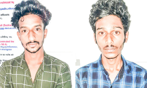 വീട്ടമ്മയുടെ മാല കവർന്ന സംഭവം: യുവാക്കൾ റിമാൻഡിൽ