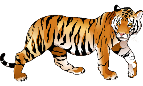 വനമേഖല വരണ്ടുണങ്ങി കാടുവിട്ട് മൃഗങ്ങൾ നാട്ടിലേക്ക്