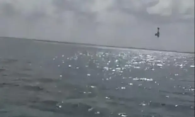 ഗർഭസ്​ഥ ശിശുവിന്‍റെ ലിംഗമറിയിച്ച്​ വിമാന അഭ്യാസ പ്രകടനം ദുരന്തമായി; തകർന്നുവീണ്​ രണ്ടു മരണം