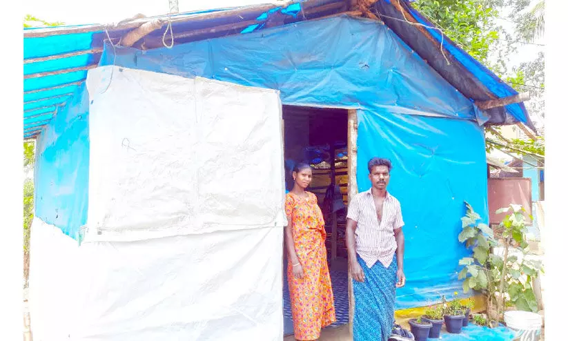 നാലു​ വർഷമായി ബാബുവിനും കുടുംബത്തിന്​ അഭയം​ പ്ലാസ്​റ്റിക്​ കൂര