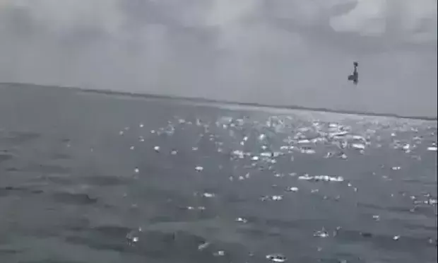 ഗർഭസ്​ഥ ശിശുവിന്‍റെ ലിംഗമറിയിച്ച്​ വിമാന അഭ്യാസ പ്രകടനം ദുരന്തമായി; തകർന്നുവീണ്​ രണ്ടു മരണം