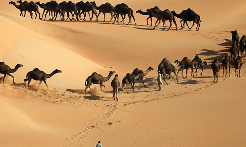 ലിവ: യു വിൽ ലവ്​ ഇറ്റ്​