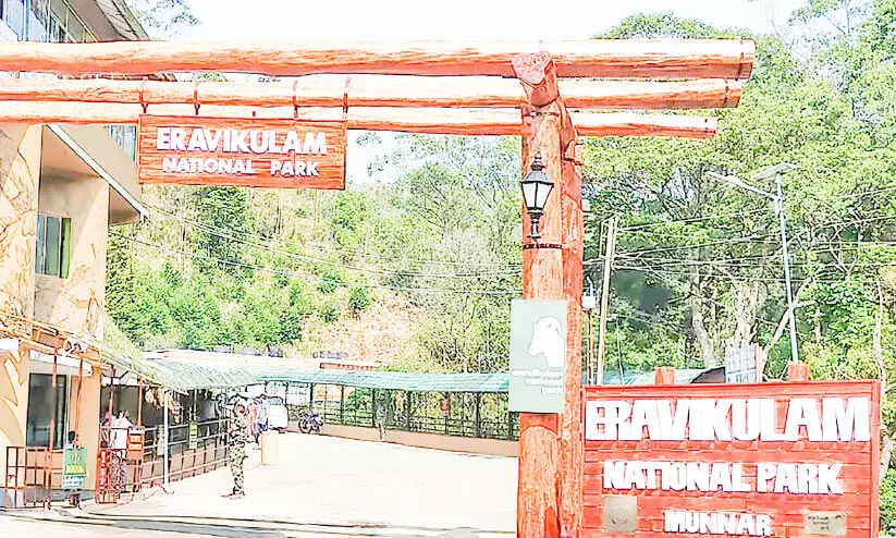 ഇരവികുളം ദേശീയോദ്യാനം തുറന്നു ഇരവികുളം ദേശീയോദ്യാനം തുറന്നു