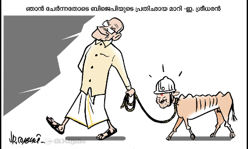 പ്രതിഛായ