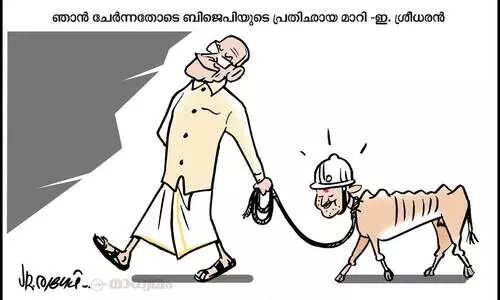 പ്രതിഛായ