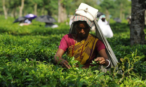 കാണാതെപോകരുത്, ഈ തൊഴിലാളികളുടെ കണ്ണുനീർ