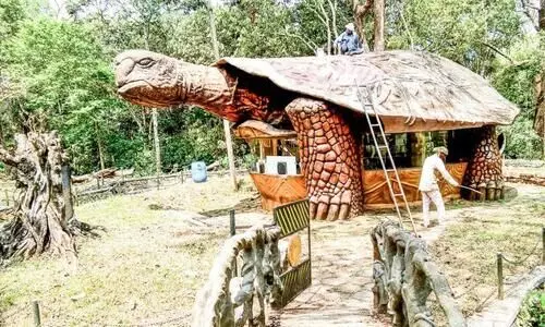 thekkady tortoise