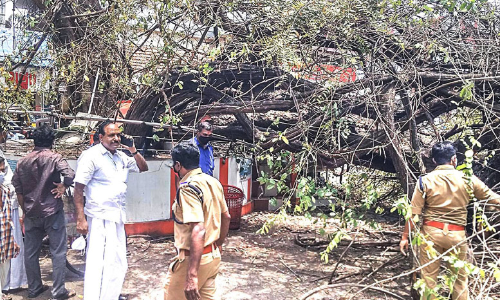 Nampooriyachan almaram