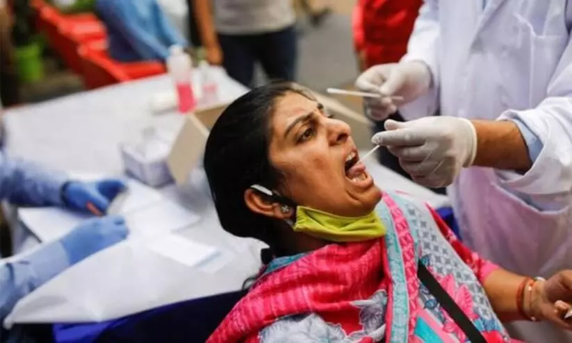 Swab Collection Swab Collection