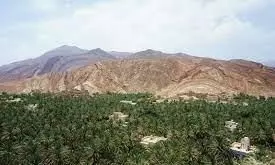 ഒമാനിലെ ഏറ്റവും നീളമുള്ള സിപ്​ലൈൻ   അൽ ഹംറയിൽ വരുന്നു