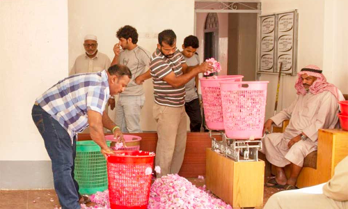 റോ​സാ​പ്പൂ​കൃ​ഷി​യും ഉ​ൽ​പ​ന്ന​ങ്ങ​ളും; അ​പൂ​ർ​വ കാ​ഴ്ച​യൊ​രു​ക്കി ത്വാ​ഇ​ഫ്