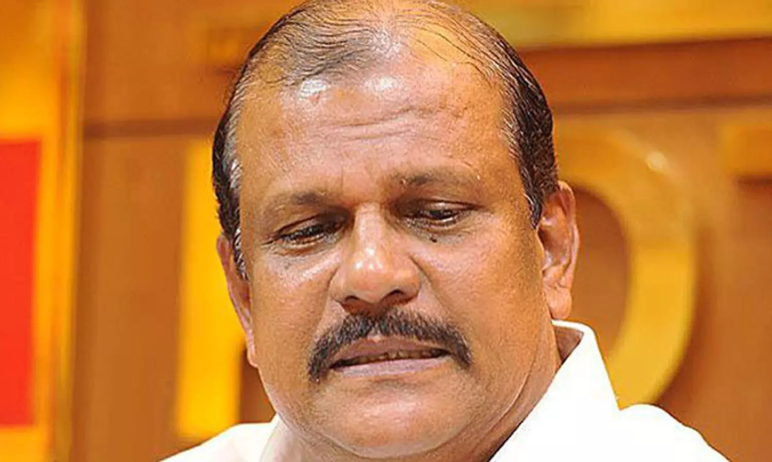 ബി.ജെ.പി വോട്ട്​ ലഭിച്ചതുകൊണ്ട്​ പൂഞ്ഞാറിൽ ജയിക്കുമെന്ന്​ പി.സി. ജോർജ്​