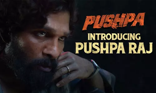 കള്ളക്കടത്തുകാരന്‍ പുഷ്പരാജ്; മാസ് എന്‍ട്രിയുമായി അല്ലു അര്‍ജുന്‍; പുഷ്പ​യുടെ ഇന്‍ട്രോ വിഡിയോ പുറത്ത്