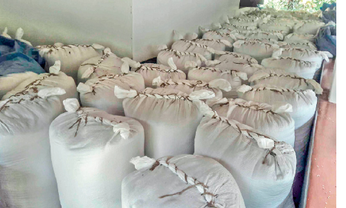 സ​പ്ലൈ​കോ നെ​ല്ല് സം​ഭ​രി​ക്കു​ന്നി​ല്ല; ക​ർ​ഷ​ക​ർ ദു​രി​ത​ത്തി​ൽ