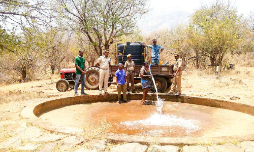 drinking water wild life