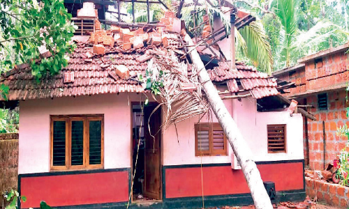 വേദനയായി േവനൽമഴ