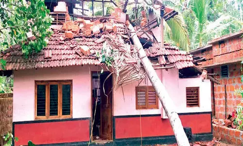 വേദനയായി േവനൽമഴ