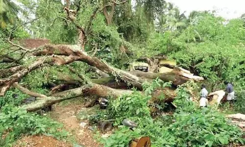 നൂറ്റാണ്ടിെൻറ തലപ്പൊക്കം വീണു