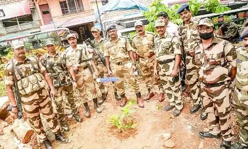 മടങ്ങും മുമ്പ് അവർ നട്ടു; സുരക്ഷയുടെ ഒാർമമരം മടങ്ങും മുമ്പ് അവർ നട്ടു; സുരക്ഷയുടെ ഒാർമമരം