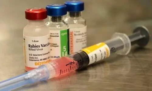 anti rabies injection