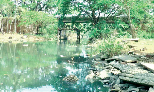 സുന്ദരിയാകാൻ കനോലി സുന്ദരിയാകാൻ കനോലി