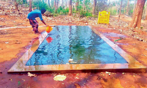 കാ​ട്ടി​ൽ ദാ​ഹ​ജ​ല​വു​മാ​യി വ​നം വ​കു​പ്പ്​