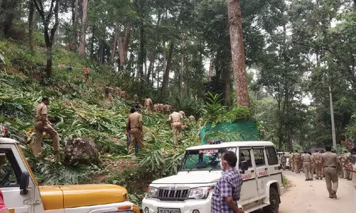forest department cut down cardamom plants
